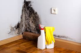 Why You Should Choose Our Mold Remediation Services in Perryman, MD